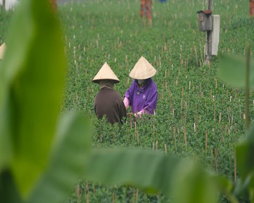 Agenda y pausa en el trabajo